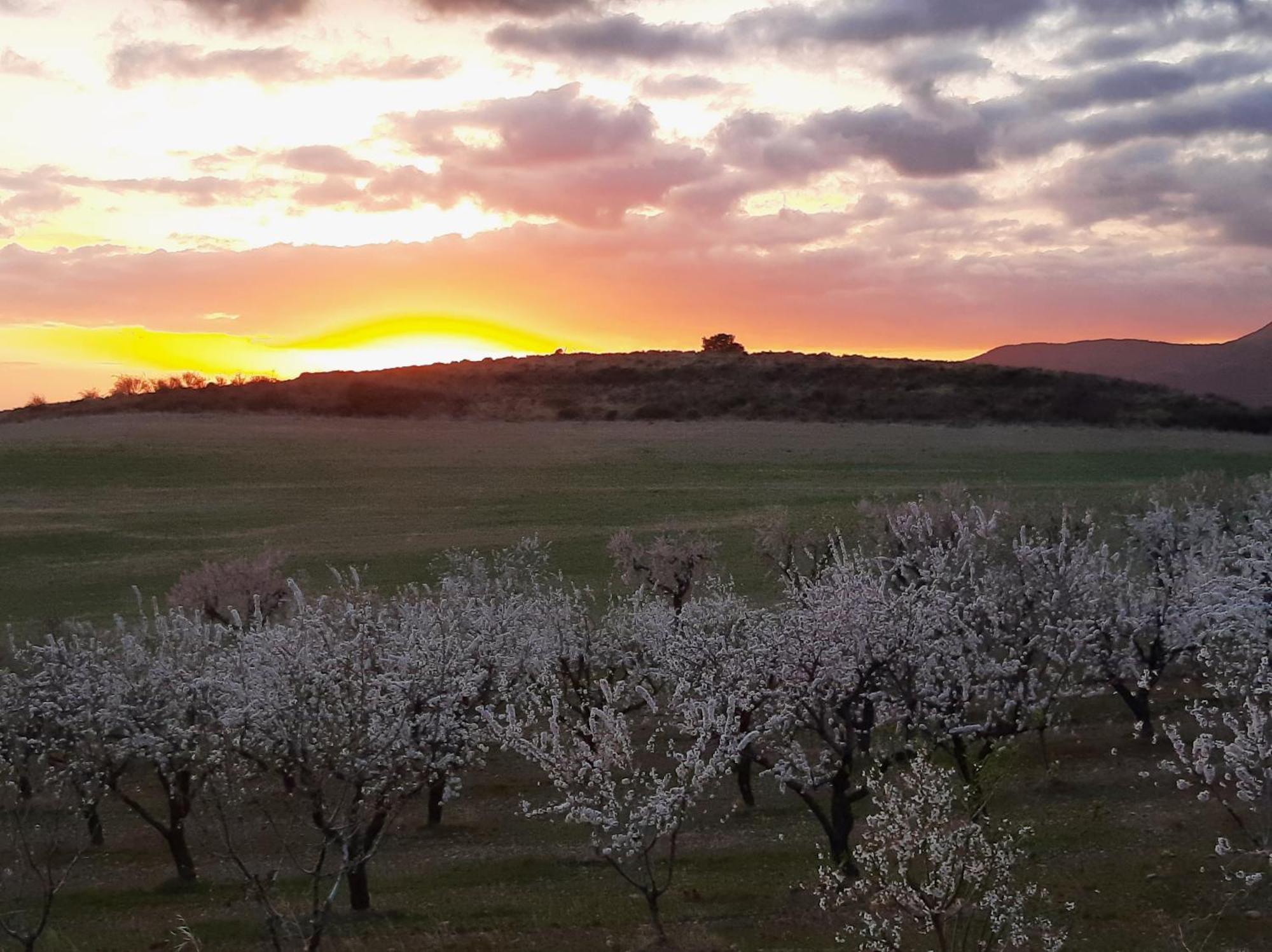 Hotel Rural Flor De Almendro Loarre Luaran gambar
